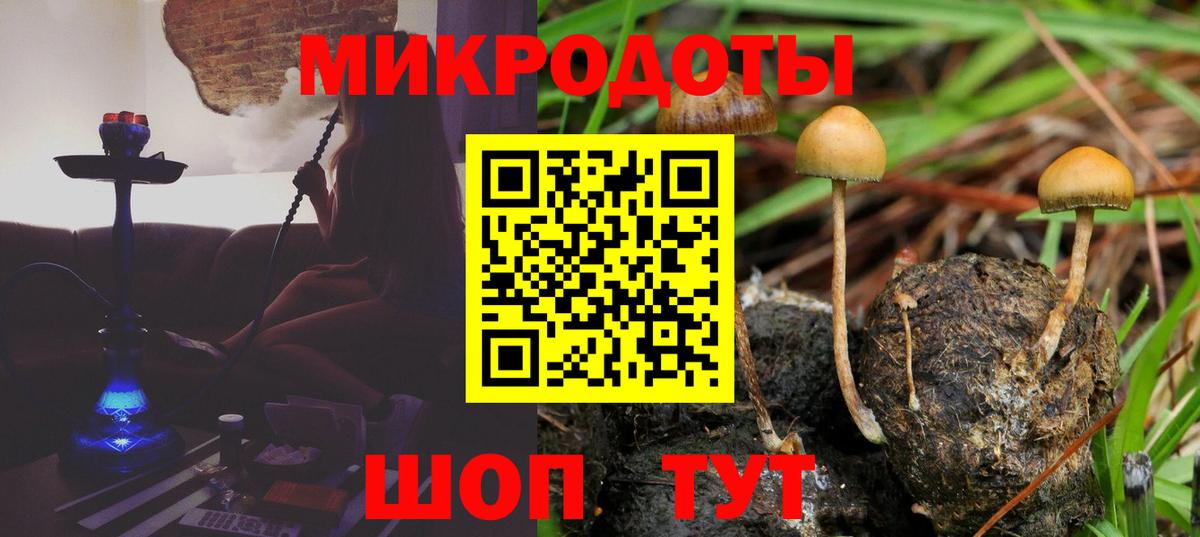 Псилоцибиновые грибы прущие грибы Реж